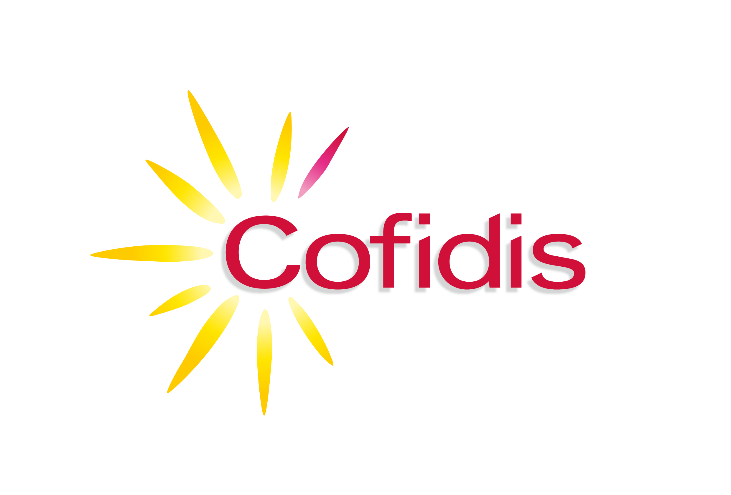 Cofidis áruhitel logó